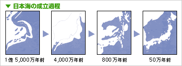 日本海の成立過程