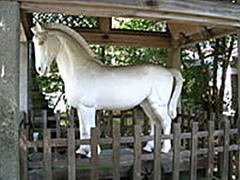 大野湊神社に奉納されている 実物大の白馬の置物(リアルです・・・)