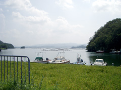久見浜湾、カキ棚が見えます