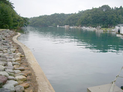 小木港のある九十九湾(つくもわん)、湖面のように静かです。