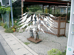 となりの西ノ島ではスルメが回ってました(北前船の時代からスルメは隠岐の特産です)