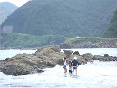 青井浜には船つなぎ石が残っています