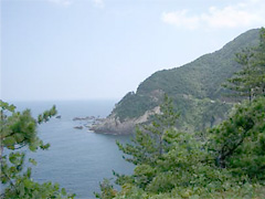 城崎温泉から海岸線を通り竹野までスゴイ道でした。わかります?