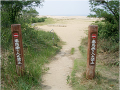 砂丘へは車も馬も入れません(ラクダはOK?)