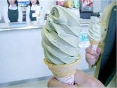 見た目は抹茶アイスにそっくりな昆布ソフトクリーム、とろみが最高！