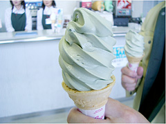 見た目は抹茶アイスにそっくりな昆布ソフトクリーム、とろみが最高!
